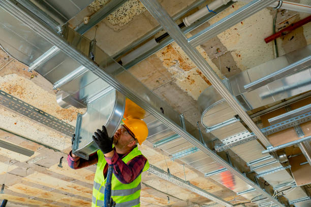 Best HVAC air duct cleaning  in Williston, FL